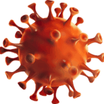 Coronavirus Cell